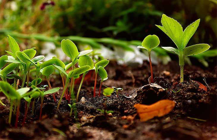 Europa eleva al 55% la ambición ecológica en 2030 pero… tiene ‘truco’