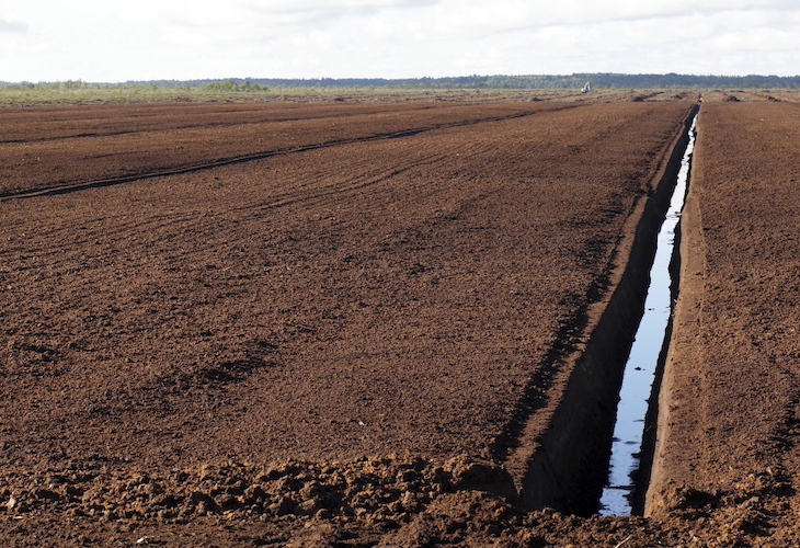 Drenaje de turberas para la agricultura: estimación de las emisiones de carbono durante el último milenio