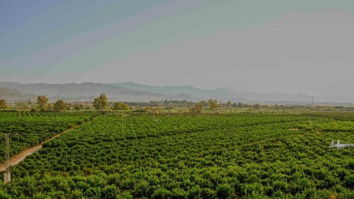 Vecinos de Alhaurín de la Torre rechazan emplazamiento de futura EDAR Norte y piden que alcaldes firmantes visiten zona