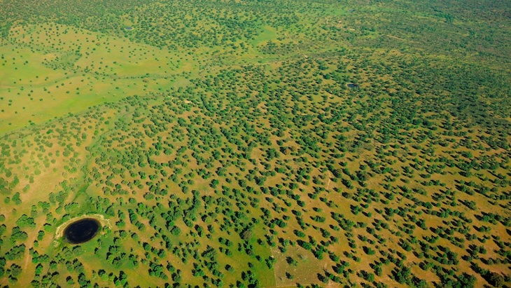 El ‘Club de Fincas’ del Oeste Ibérico vela por la salud de un ecosistema único