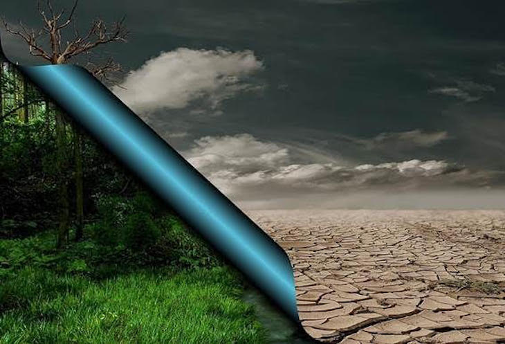 Día Internacional contra el Cambio Climático 2020