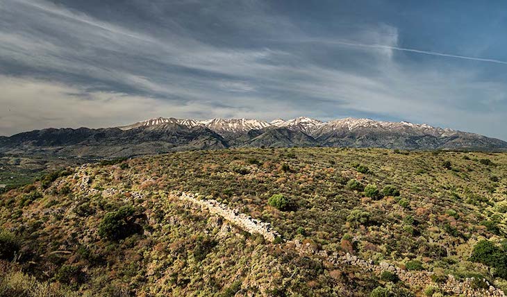 Medio ambiente. Ganadores del Programa sobre el Hombre y la Biosfera de la UNESCO