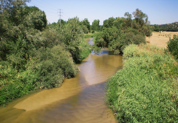 La Confederación Hidrográfica del Tajo inicia la contratación de los trabajos para la retirada de los residuos presentes en el cauce y zonas aledañas del río Guadarrama