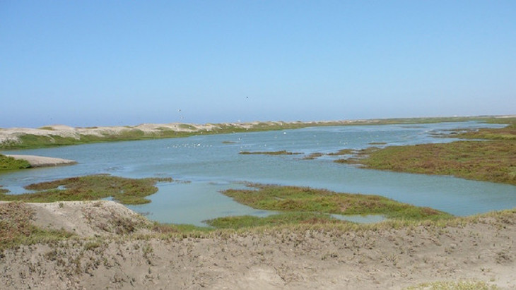 México exhorta al gobierno local de San Cristóbal de las Casas a trabajar de la mano en el rescate de humedales