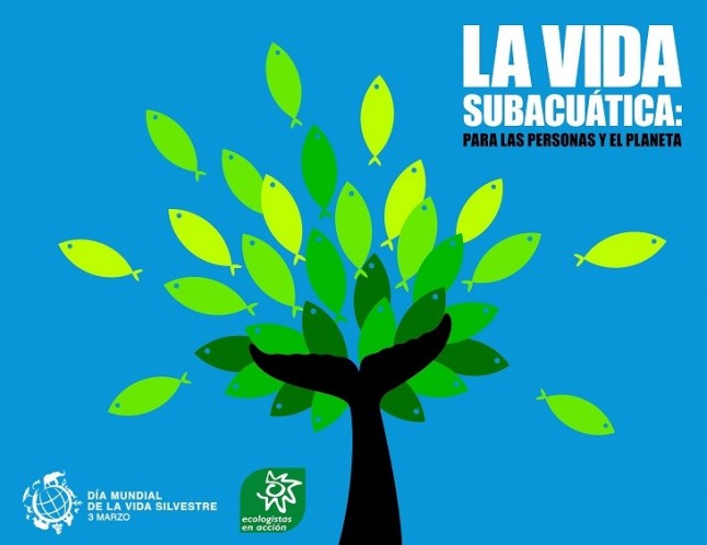 Ayer se celebró el ‘Día Mundial de la Vida Silvestre’ sin visos de optimismo