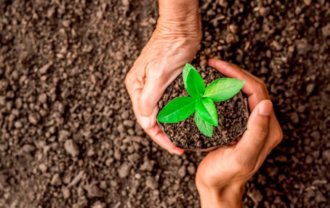Santa Cruz de Tenerife: a la cabeza en gasto en medio ambiente entre las principales ciudades españolas