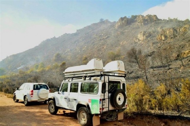 Extinguido el incendio que ha afectado al paraje de Cerro Gordo