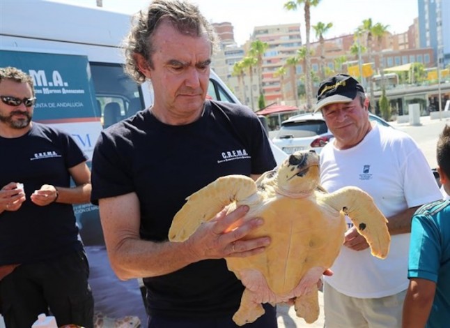 Ayuntamiento apoya con 40.000 euros la acción del Aula de Mar y el Centro de Recuperación de especies marinas amenazadas