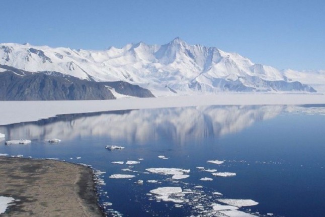 Nuevas especies de hongos en un glaciar ártico en rápido deshielo
