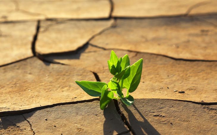 ONU informa sobre las semanas del Clima regionales