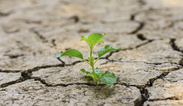 Cantabria totalmente involucrada con los compromisos de Europa sobre biodiversidad y cambio climático
