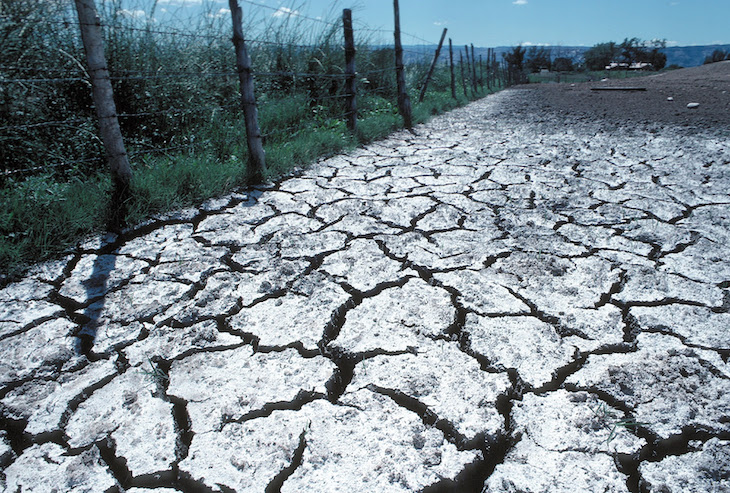 El impacto de la salinización del suelo en el análisis del ciclo de vida de la producción de alimentos puede ser ‘tremendo’
