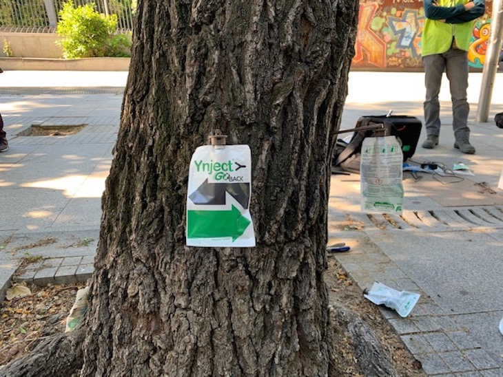 Madrid arranca la campaña de control de la ‘galeruca’ en los miles de olmos de la ciudad