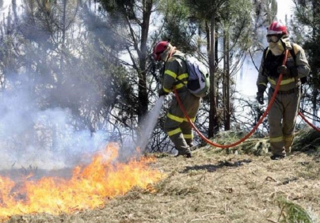 CCOO-A denuncia la situación de olvido que sufren los agentes de medio ambiente y celadores forestales andaluces