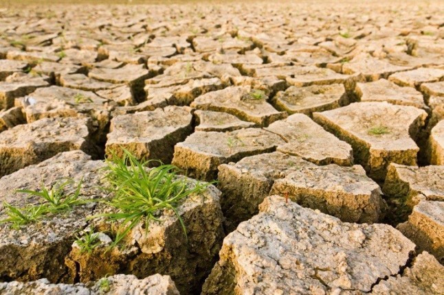 Adelante Sevilla incluye en su programa del 26M la lucha contra el cambio climático para combatirlo "desde lo municipal"