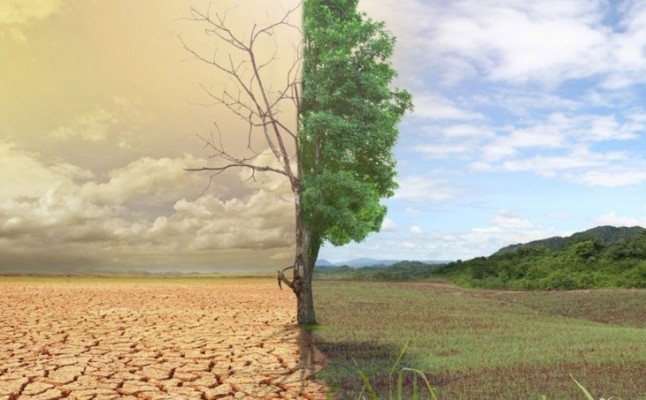 El anteproyecto de Ley Foral de Cambio Climático de Navarra en exposición pública