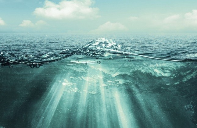 La acidificación del agua del mar provoca que su color este pasando de blanco calizo a marrón oscuro