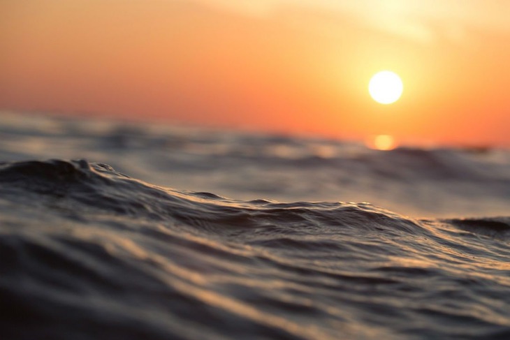 Altas temperaturas océanicas sin precedentes en 2020