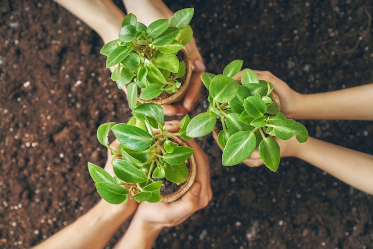 México da a conocer su ecosistema digital de educación ambiental