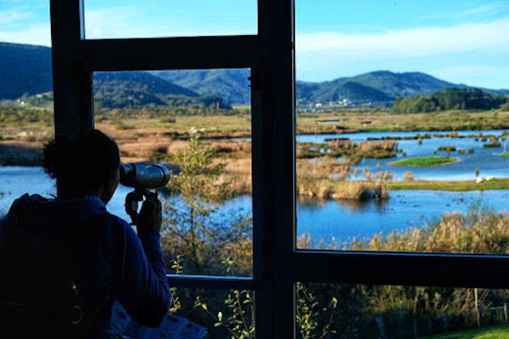 Urdaibai Bird Center arranca su programa de voluntariado en medio ambiente y turismo de naturaleza