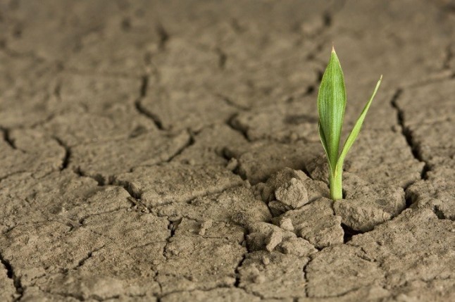 El PP considera "una falta de respeto" a expertos y funcionarios que Ribera prepare una nueva ley de cambio climático