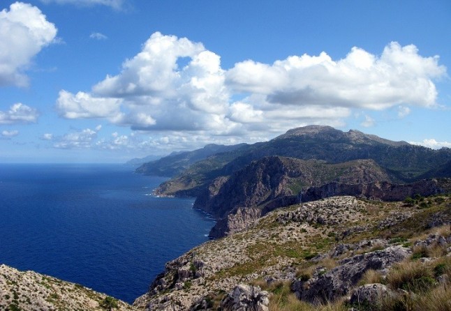 El GOB diseña un plan para la conservación de aves silvestres en determinadas zonas de la Serra de Tramuntana