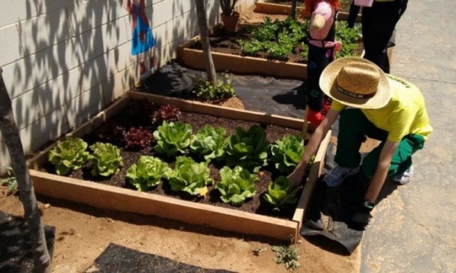 Más y mejor educación ambiental