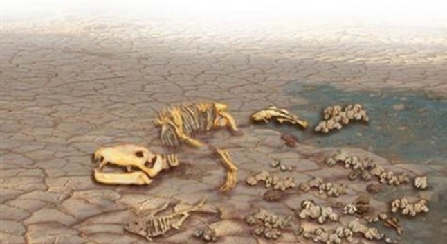La mayor extinción masiva duró un instante geológico de 31.000 años