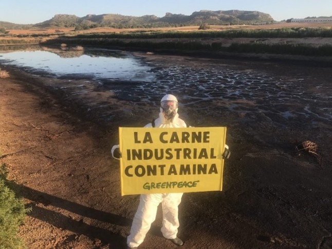Greenpeace entra en la macrogranja de porcino más contaminante de España