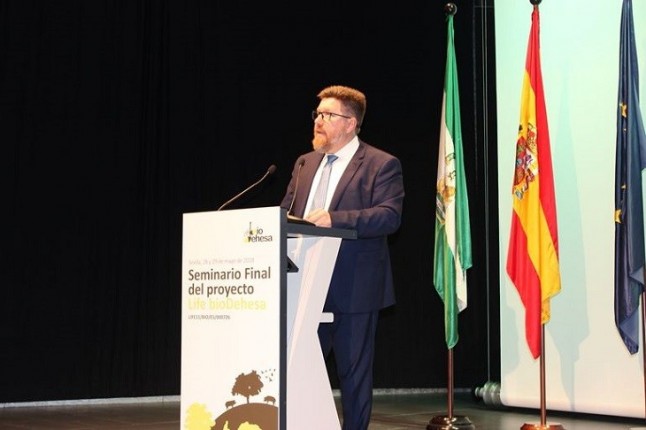 Andalucía regenerará el arbolado en la dehesa