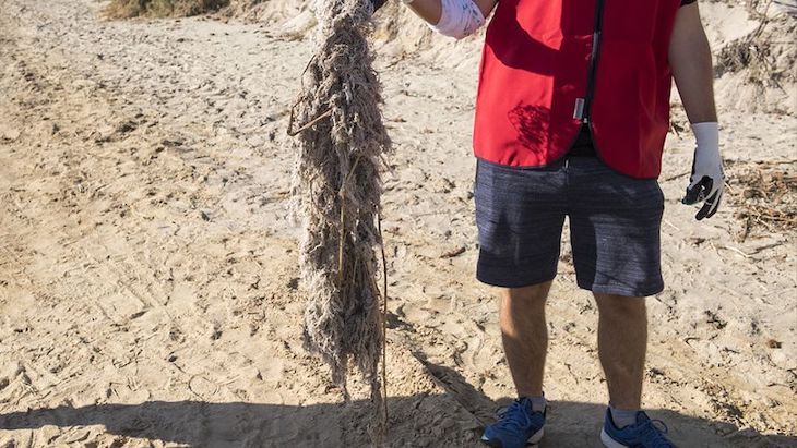 El ‘tremendo’ impacto ambiental de tirar residuos en la naturaleza o al WC