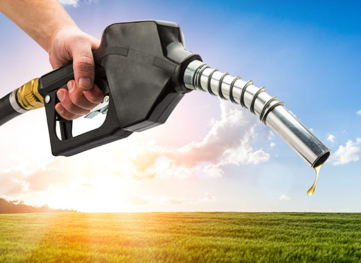 Biodiesel muy económico a base de restos de comida y basura