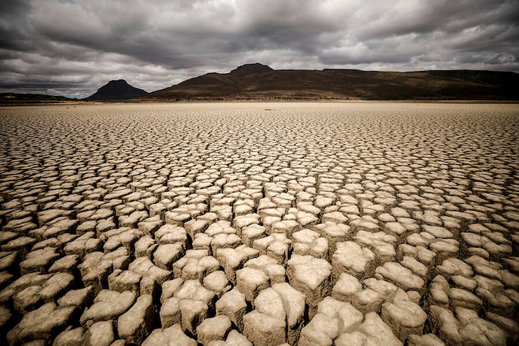 España aprueba subvenciones a Tazacorte