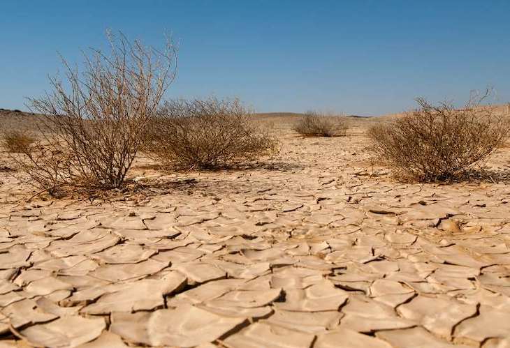 Cambio climático. La PAC es ‘nula’ contra el calentamiento global