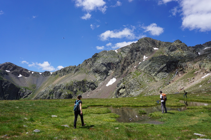 Red Cambera tras la muerte masiva de anfibios en la Cordillera Cantábrica