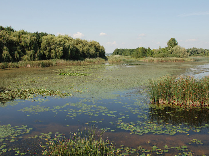 Juantxo López de Uralde de UP pide al Gobierno la aprobación urgente de un Plan Estratégico para la conservación de los humedales