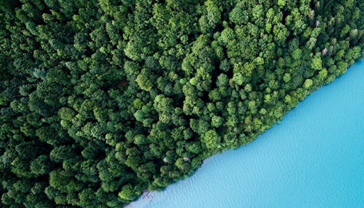 CREAF publica su primer boletín internacional