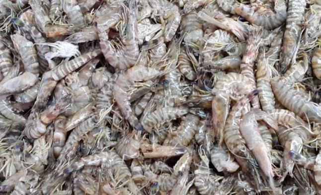 Un trabajo simula la respuesta del Mediterráneo oriental ante escenarios de cambio global