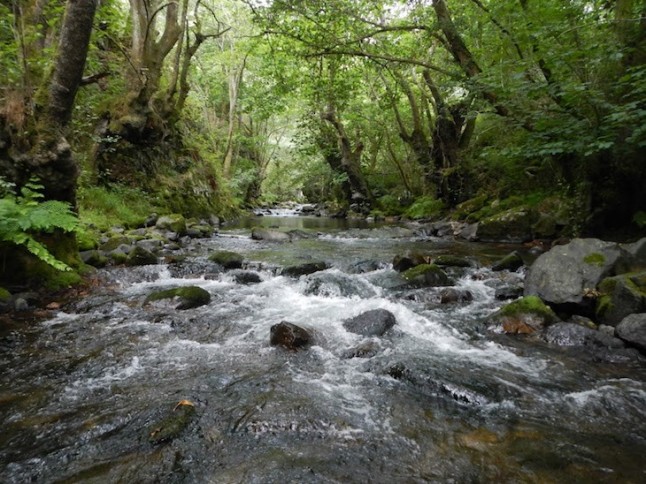 El BNG pedirá en el Parlamento Europeo una auditoría sobre la gestión medioambiental de los ríos gallegos