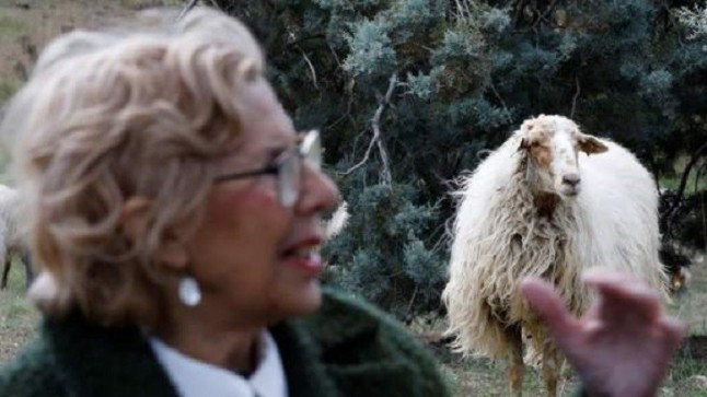 La Alcaldesa de Madrid apadrina una cordera del rebaño de la Casa de Campo