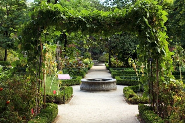 Investigadores del Jardín Botánico de Madrid recolectan 320 especies de plantas de Chipre para la colección mediterránea