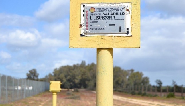 La visita de los eurodiputados a Doñana tiene prevista una reunión con Gas Natural