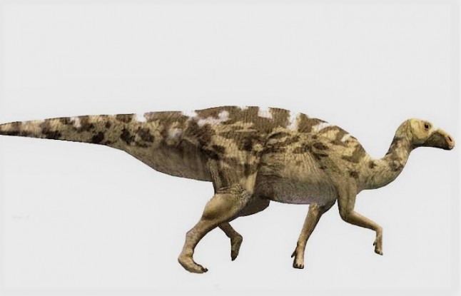 Fósiles de Mongolia rellenan el hueco evolutivo de los hadrosaurios