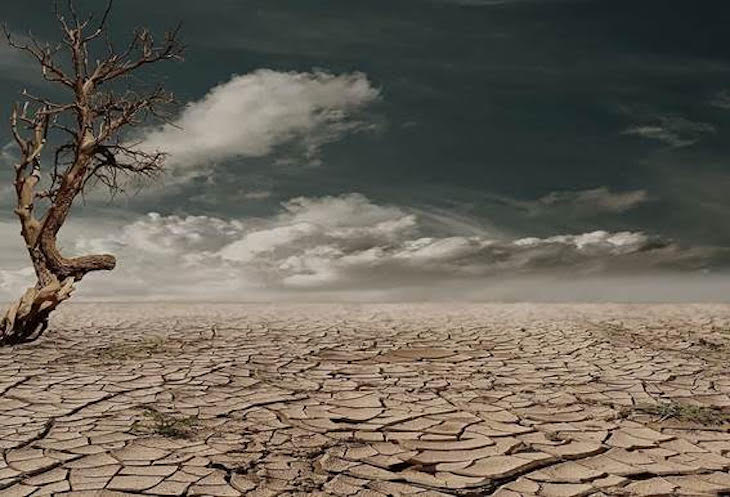 Día Mundial de la Lucha contra la Desertificación y la Sequía 2021
