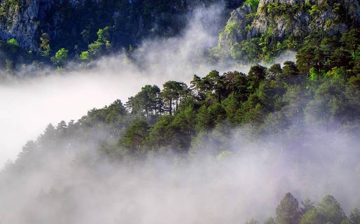 Una plataforma estudiará los factores ambientales asociados a la pandemia