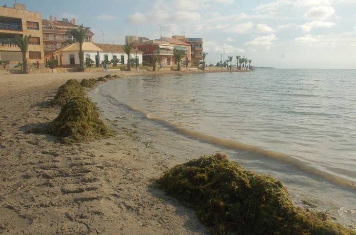 Otro CARMA sin las organizaciones ambientales