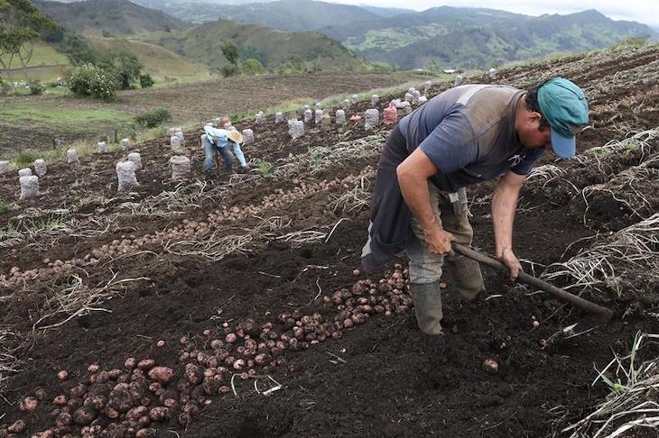 Conferencia de Rattan Lal para Paraguay: “La sostenibilidad de la agricultura sólo es posible si se pone en primer plano la dimensión humana y social”