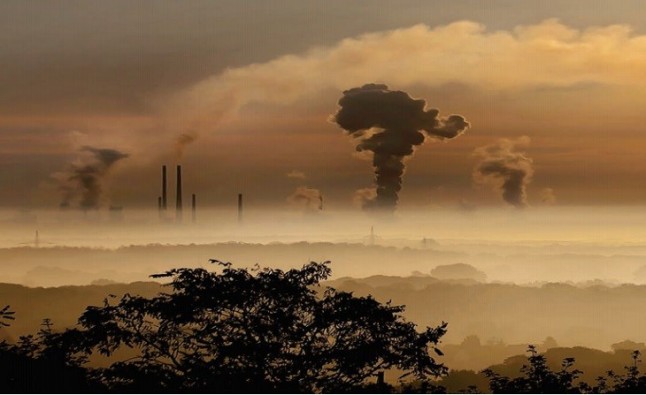 Las emisiones de las centrales térmicas del carbón provocaron en un año casi 1.600 muertes prematuras en España