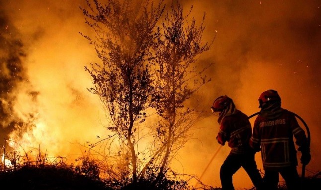 España se enfrenta a los incendios forestales sin planes de emergencia