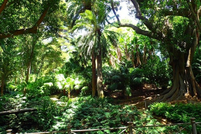 Jornadas Internacionales de Arboricultura